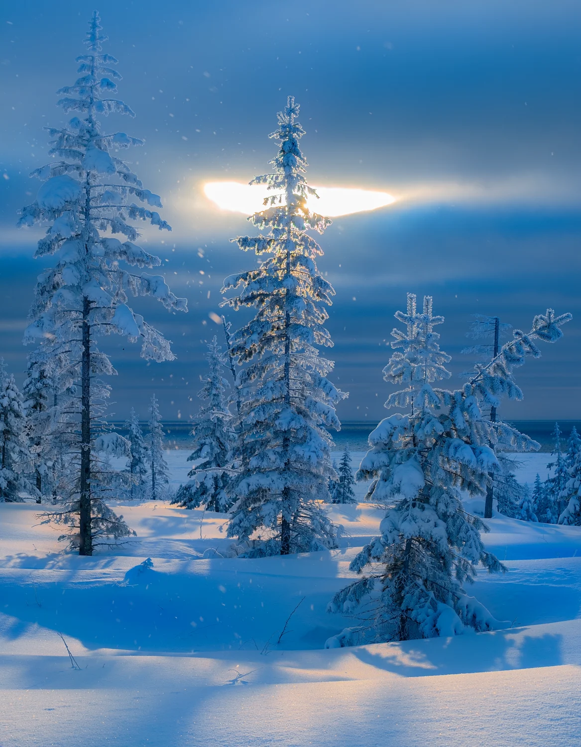 Illustration accompanying Jae, Marcus, Nori & Grandma Hana’s Michigan winter story